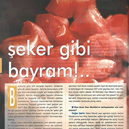 2004-Ant Yapı Eq